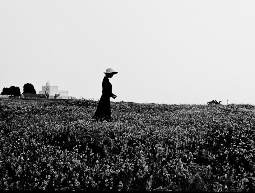 Walking among Flowers